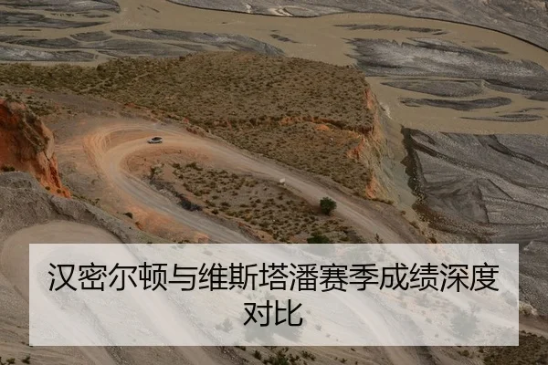 汉密尔顿与维斯塔潘赛季成绩深度对比